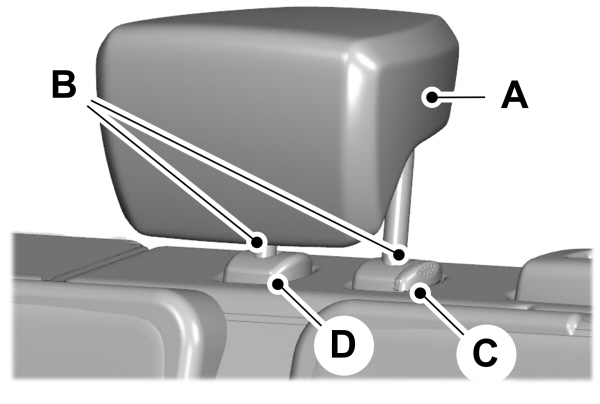 Image Shown Without Description