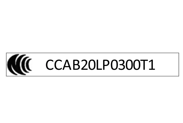 Radio Frequency Certification for Taiwan - SYNC4L