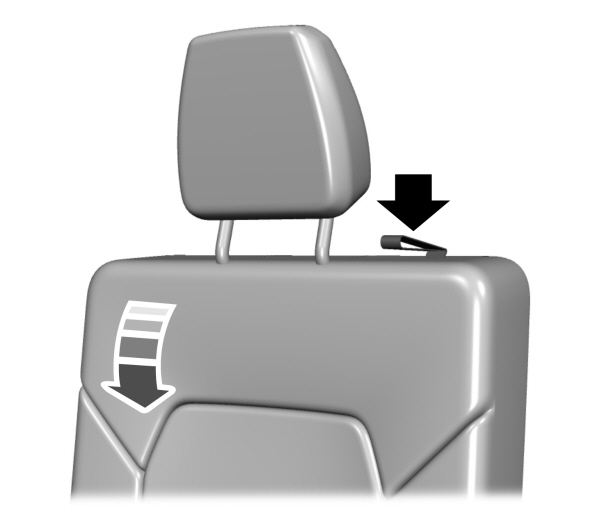 Image Shown Without Description