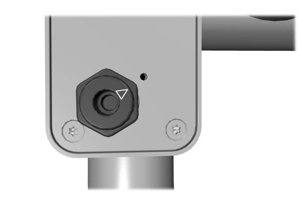 Image Shown Without Description