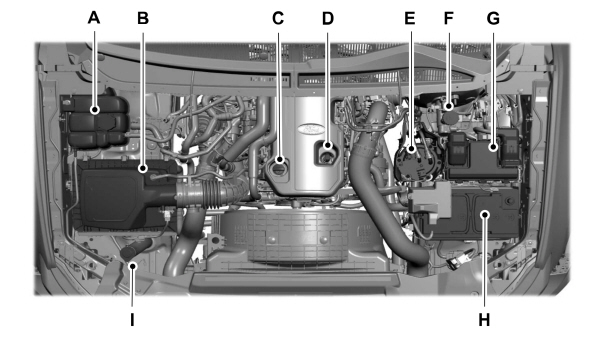 Image Shown Without Description