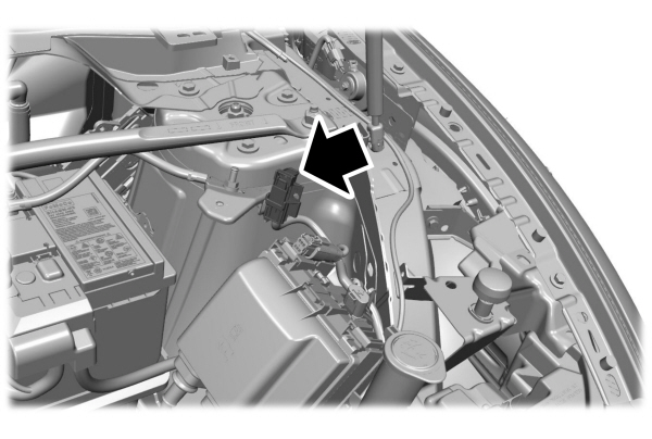 Image Shown Without Description