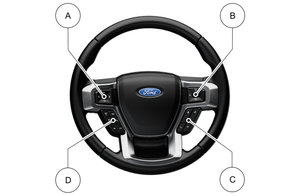 Image Shown Without Description