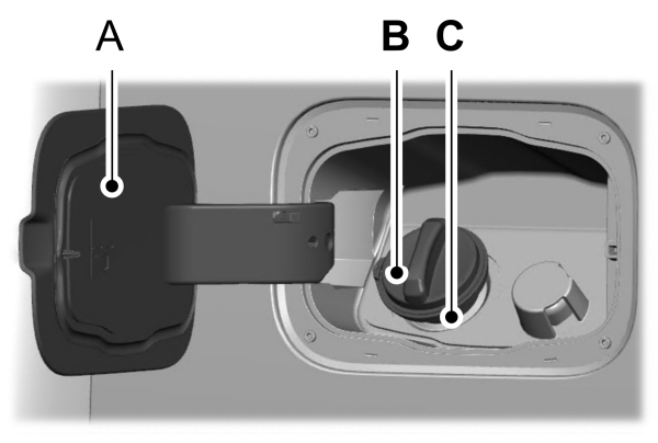 Image Shown Without Description