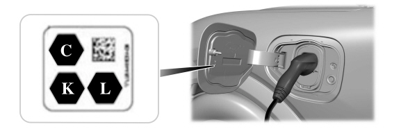 Image Shown Without Description