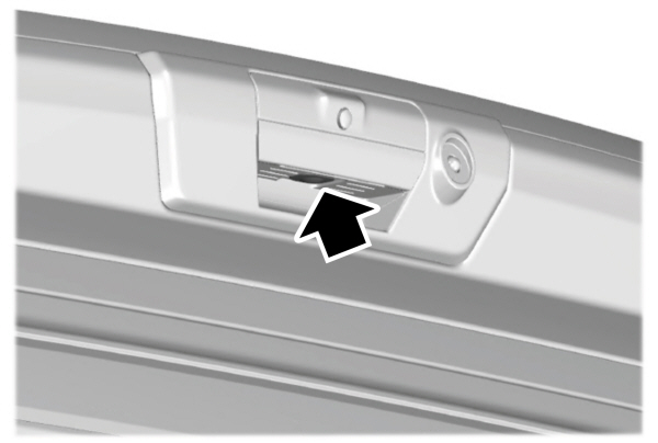 Tailgate Outside Button 