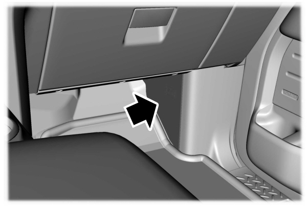 Image Shown Without Description