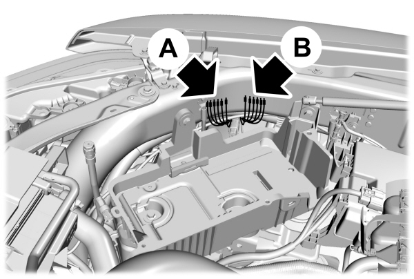 Image Shown Without Description