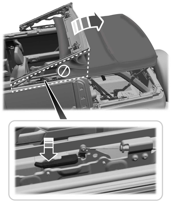 Image Shown Without Description