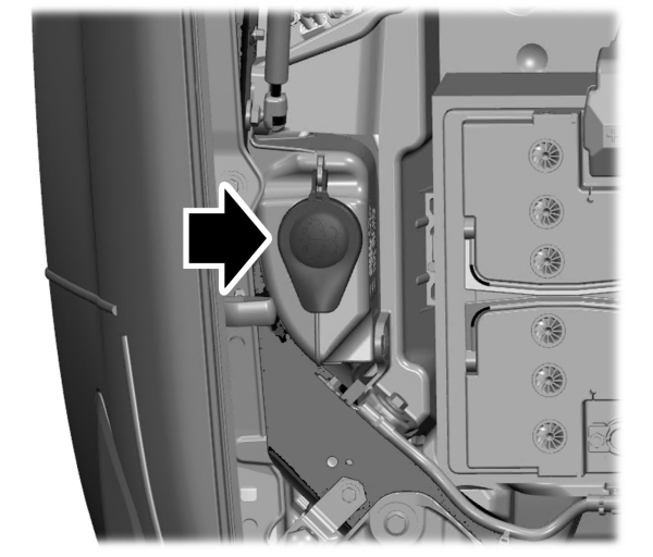 Image Shown Without Description