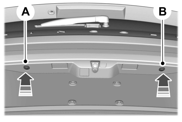 Image Shown Without Description