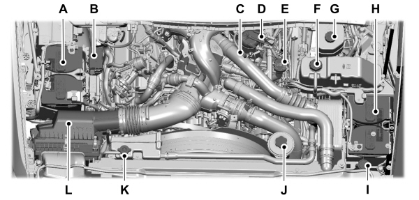 Image Shown Without Description