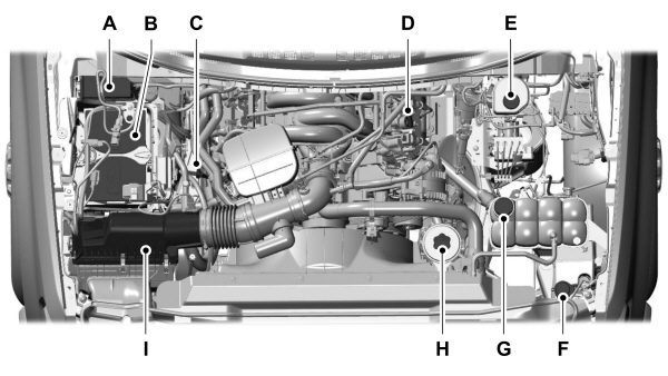 Image Shown Without Description