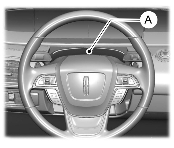 Image Shown Without Description