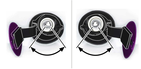 Image Shown Without Description