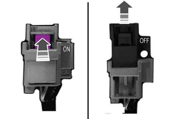 Image Shown Without Description