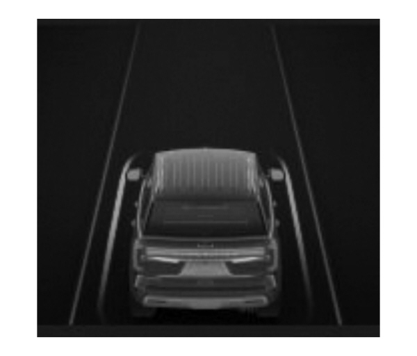 Image Shown Without Description