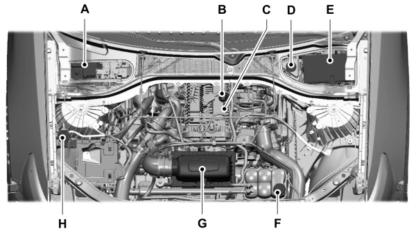 Image Shown Without Description