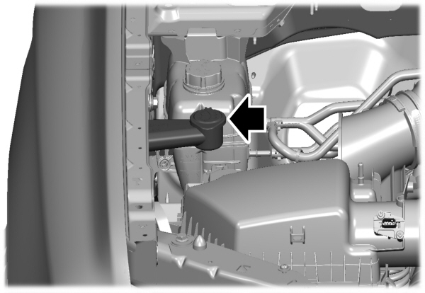 Image Shown Without Description