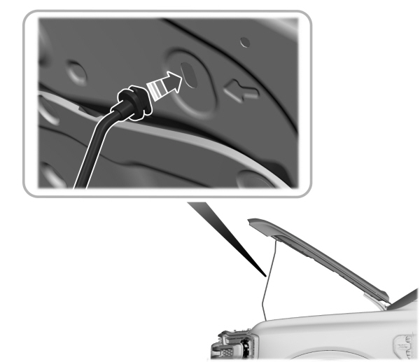 Image Shown Without Description