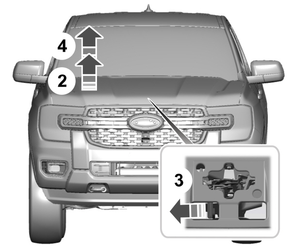 Image Shown Without Description