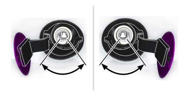 Image Shown Without Description