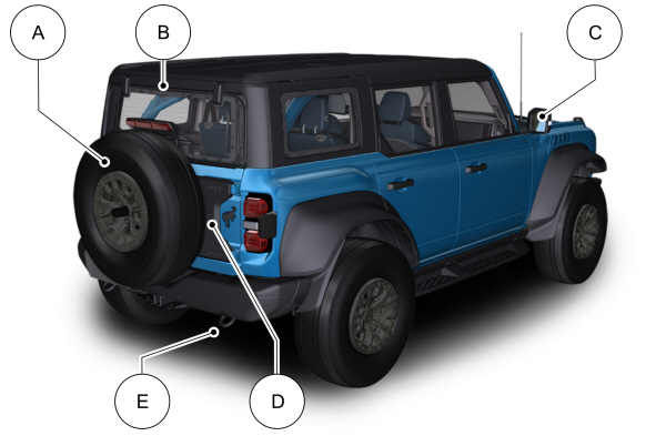 Image Shown Without Description