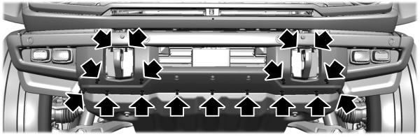 Image Shown Without Description