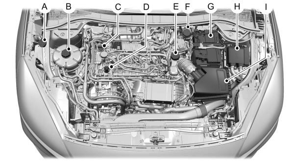 Image Shown Without Description