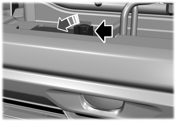 Image Shown Without Description