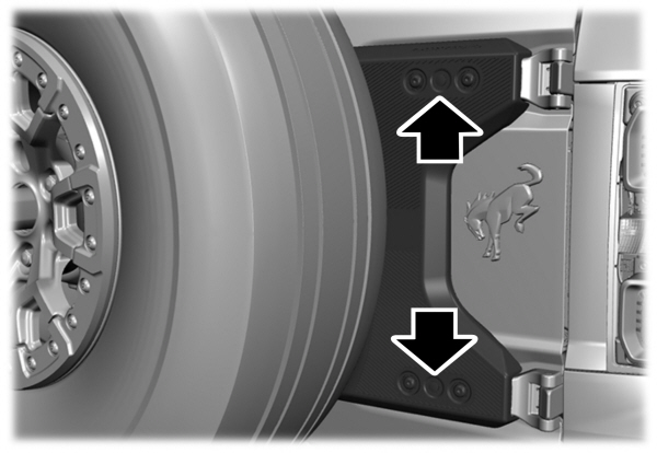 Image Shown Without Description