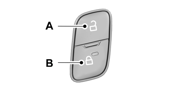 Image Shown Without Description