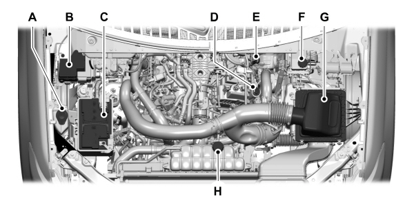 Image Shown Without Description