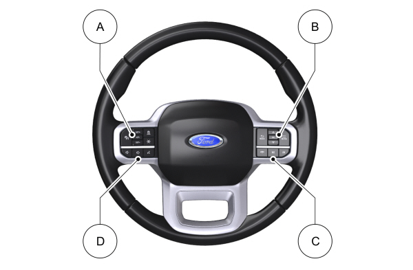 Image Shown Without Description