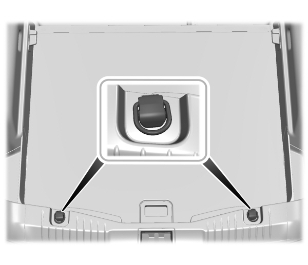 Image Shown Without Description