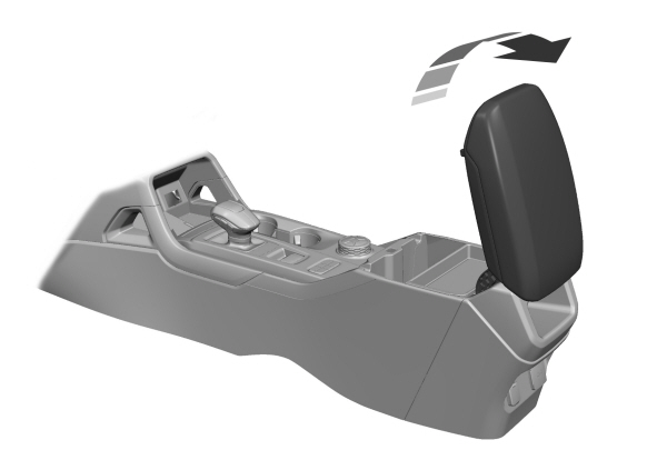 Image Shown Without Description