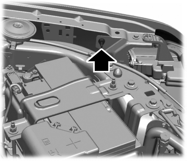 Image Shown Without Description