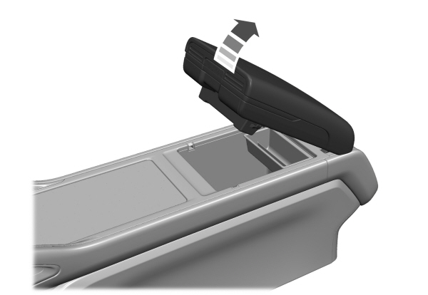 Image Shown Without Description