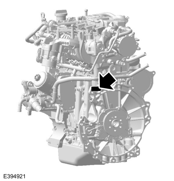 Image Shown Without Description