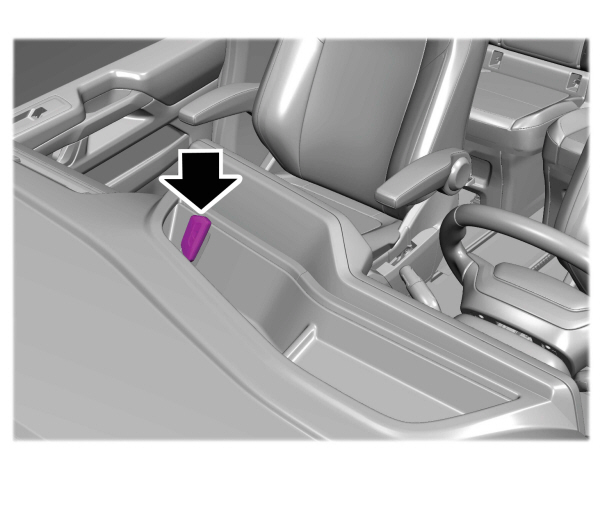 Image Shown Without Description