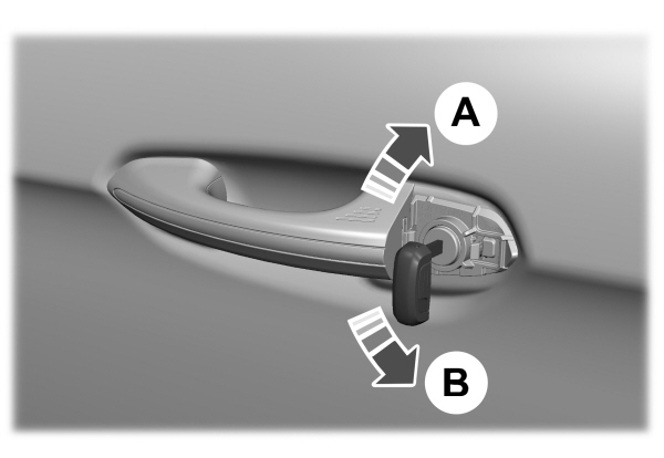 Image Shown Without Description