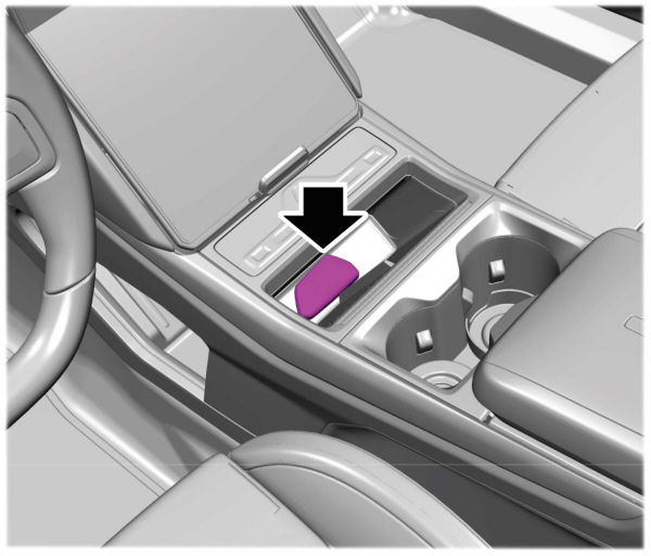 Image Shown Without Description