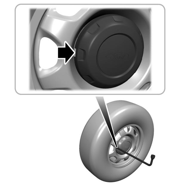 Image Shown Without Description