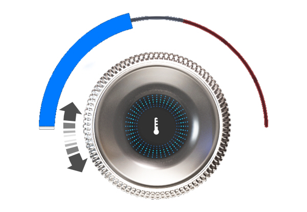 Image Shown Without Description