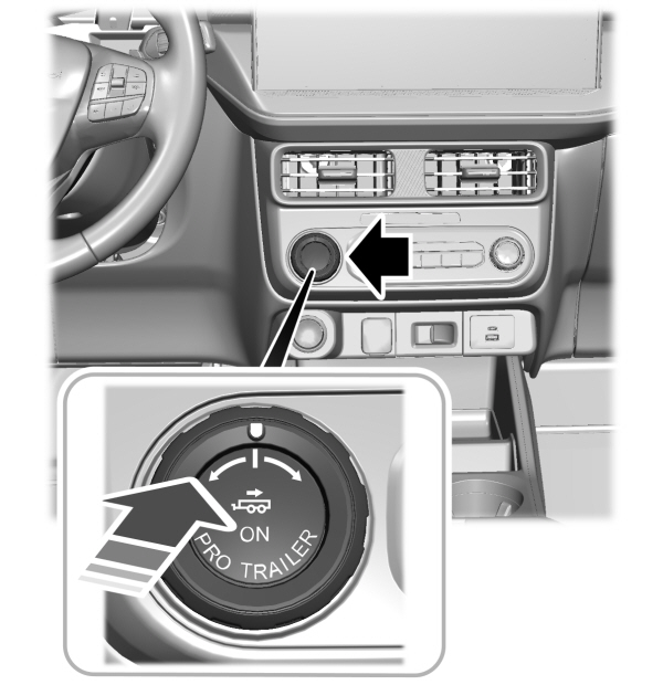 Image Shown Without Description