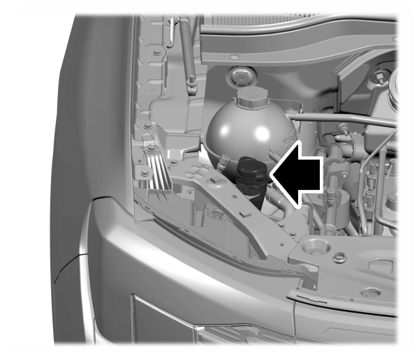Image Shown Without Description