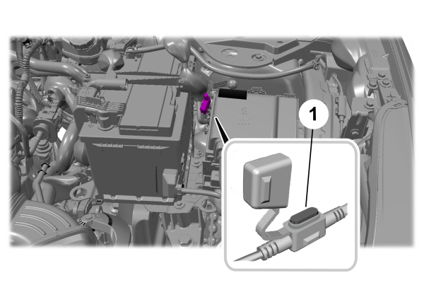 Image Shown Without Description