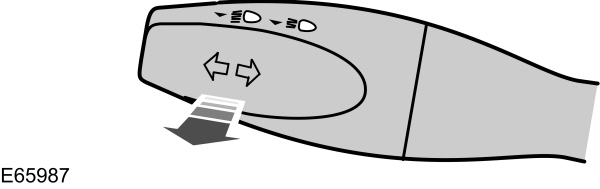 Image Shown Without Description