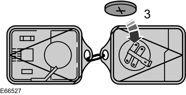 Image Shown Without Description