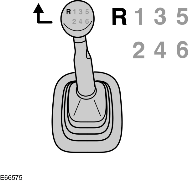 Image Shown Without Description